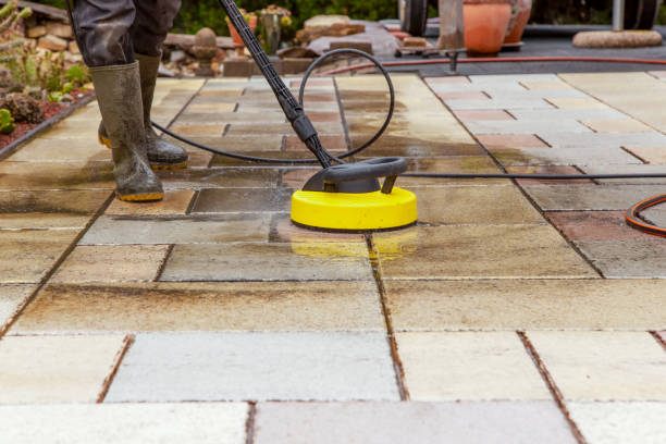 Best Driveway Pressure Washing  in Ladoga, IN